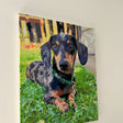 Finished custom pet painting hanging on the wall