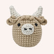 Hamish the Highland Cow