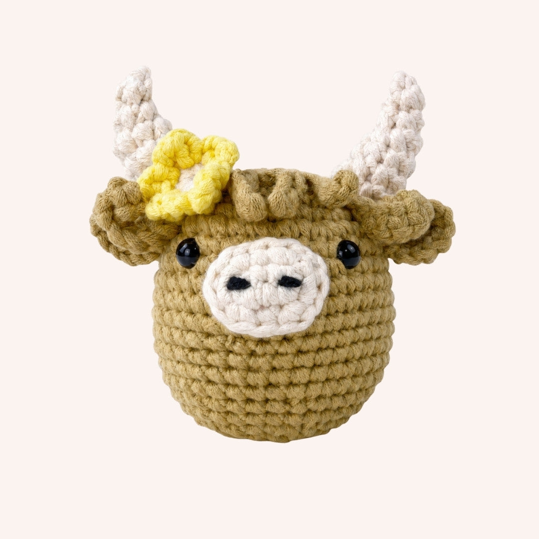 Daisy the Highland Cow