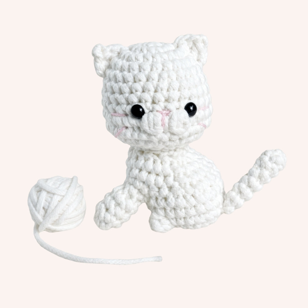 Snowball the Kitten
