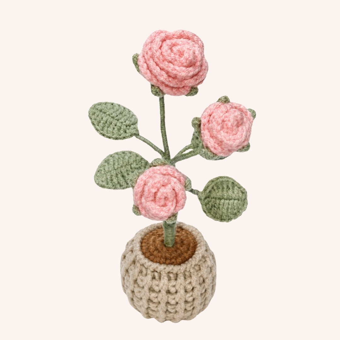 The Rose Garden