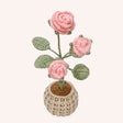 The Rose Garden