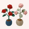 The Blooming Pair