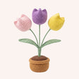 The Tulip Garden