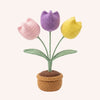 The Tulip Garden