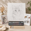 Sparkling Eyes Kitten paint by numbers complete kit contents – TinyCraft