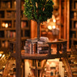 Close-up of the central reading platform with stacked books beneath the little tree inside The Wisdom Rings Library