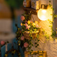 Close-up of a hanging flower basket in bloom
