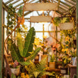 Close-up of lush banana-leaf plants and ferns inside the spring conservatory