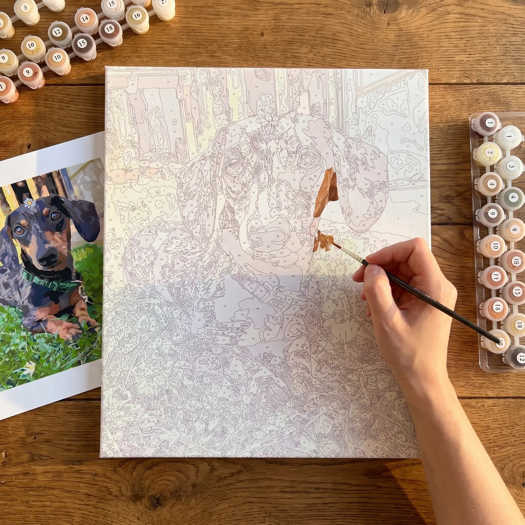 Custom Paint by Numbers Kit