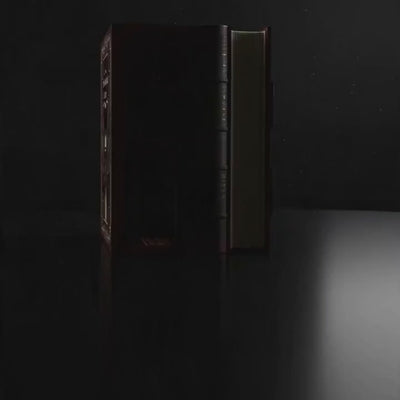 The Grand Exhibition DIY book nook museum hall lighting up, cinematic showcase