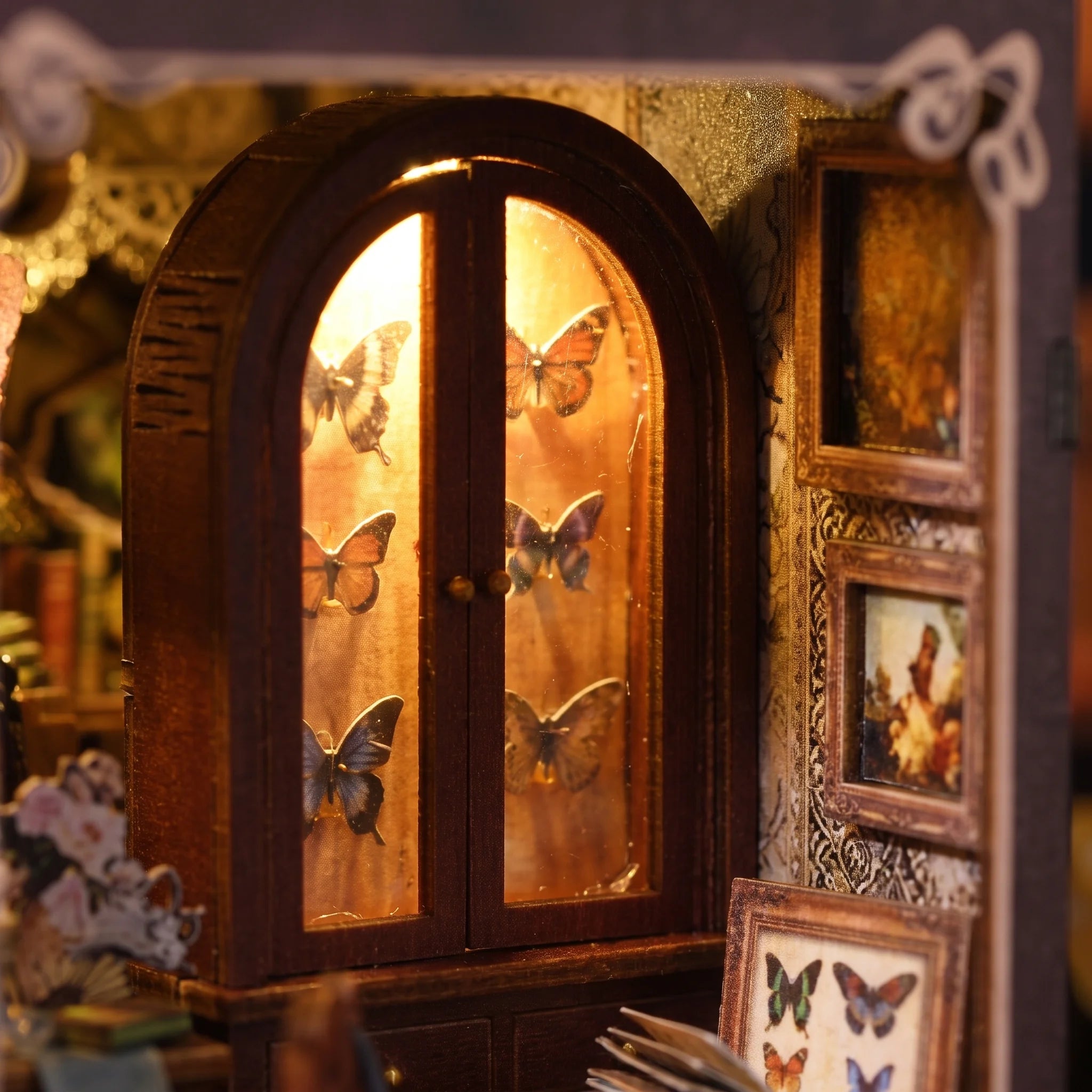 Detail of the arched butterfly showcase inside The Butterfly Archive