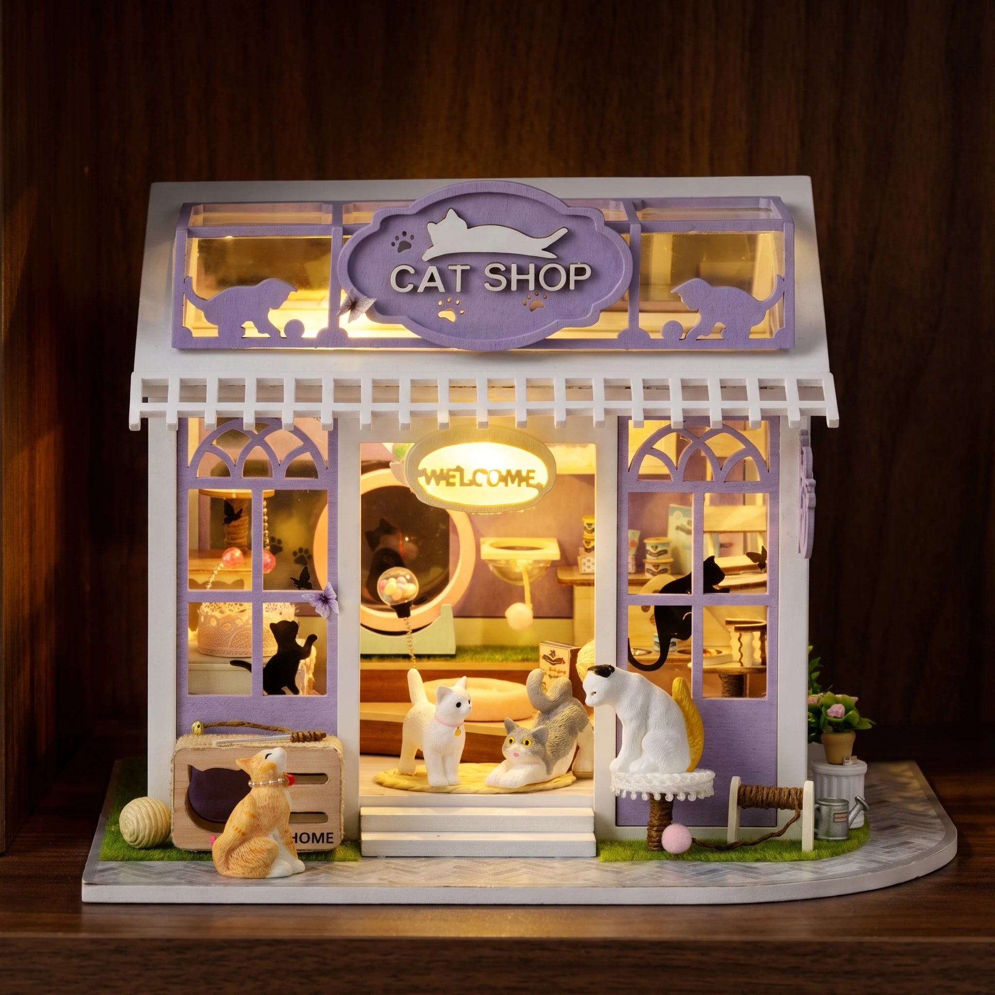 The Whisker Shop glowing on a dark walnut shelf at night
