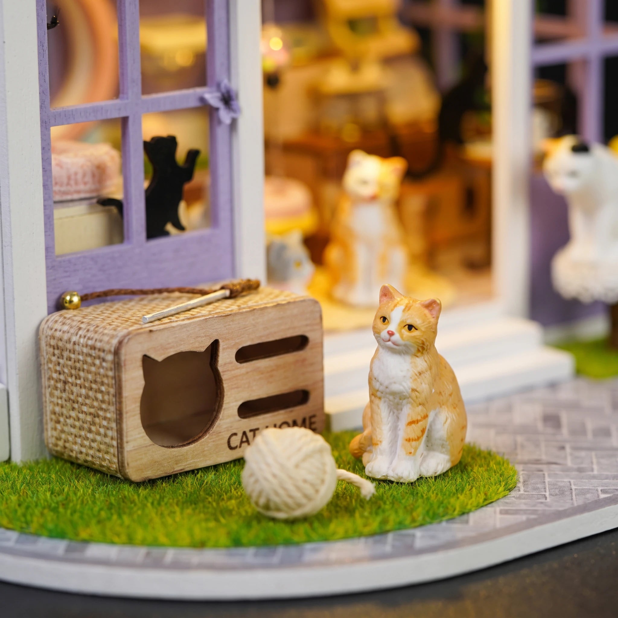 Detail of the CAT HOME crate and ginger cat on The Whisker Shop lawn